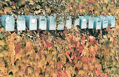Mailboxes in Ivy